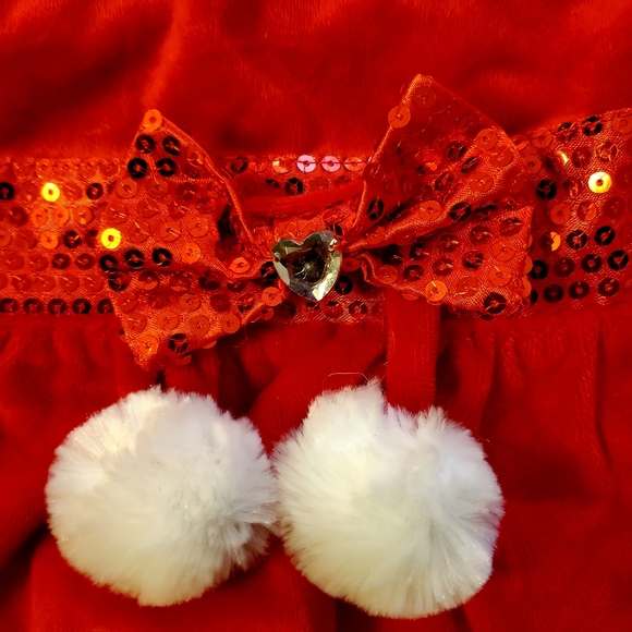 Red Ms. Claus Dog Costume, Large - Picture 3 of 5